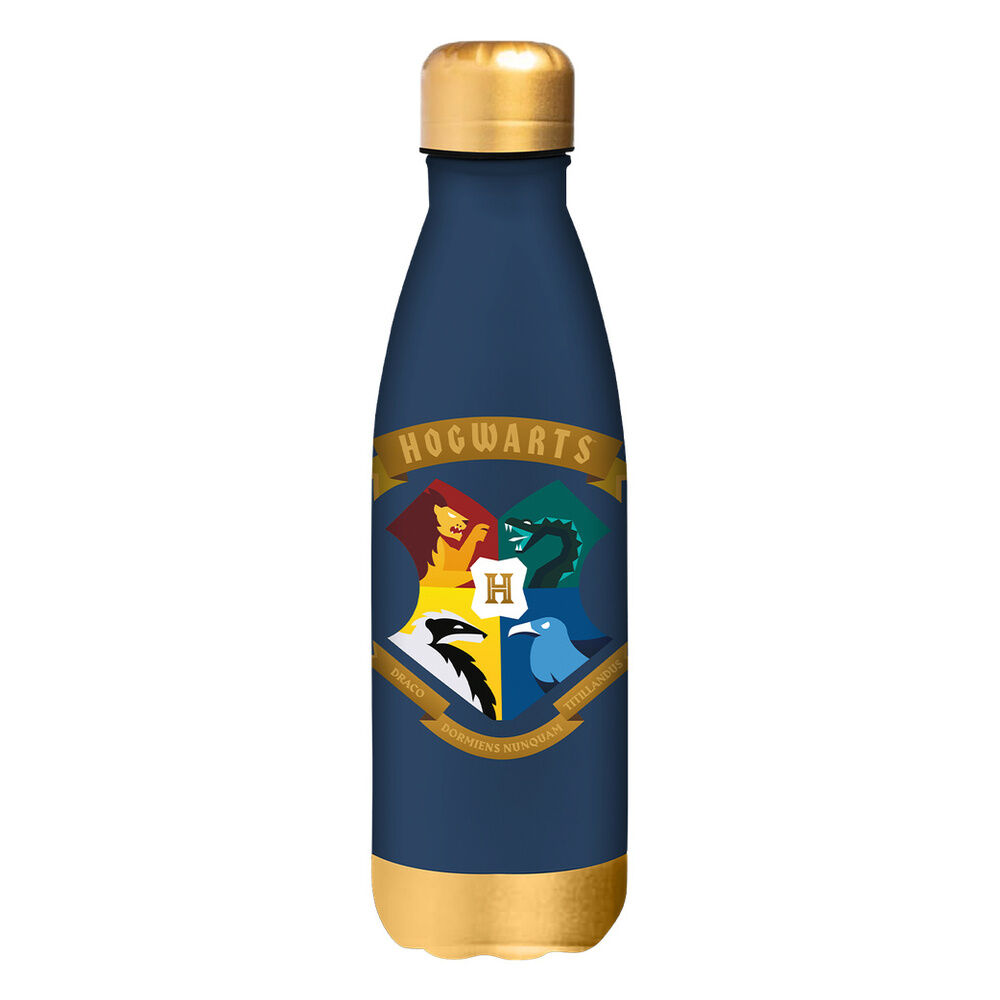Harry Potter stainless steel water bottle 500ml
