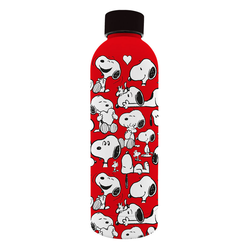 Peanuts Snoopy stainless steel soft touch water bottle 800ml