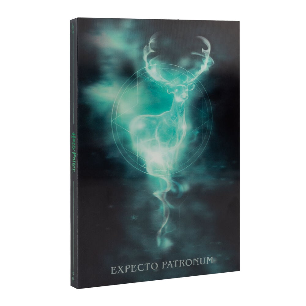 Harry Potter A5 Lenticular notebook