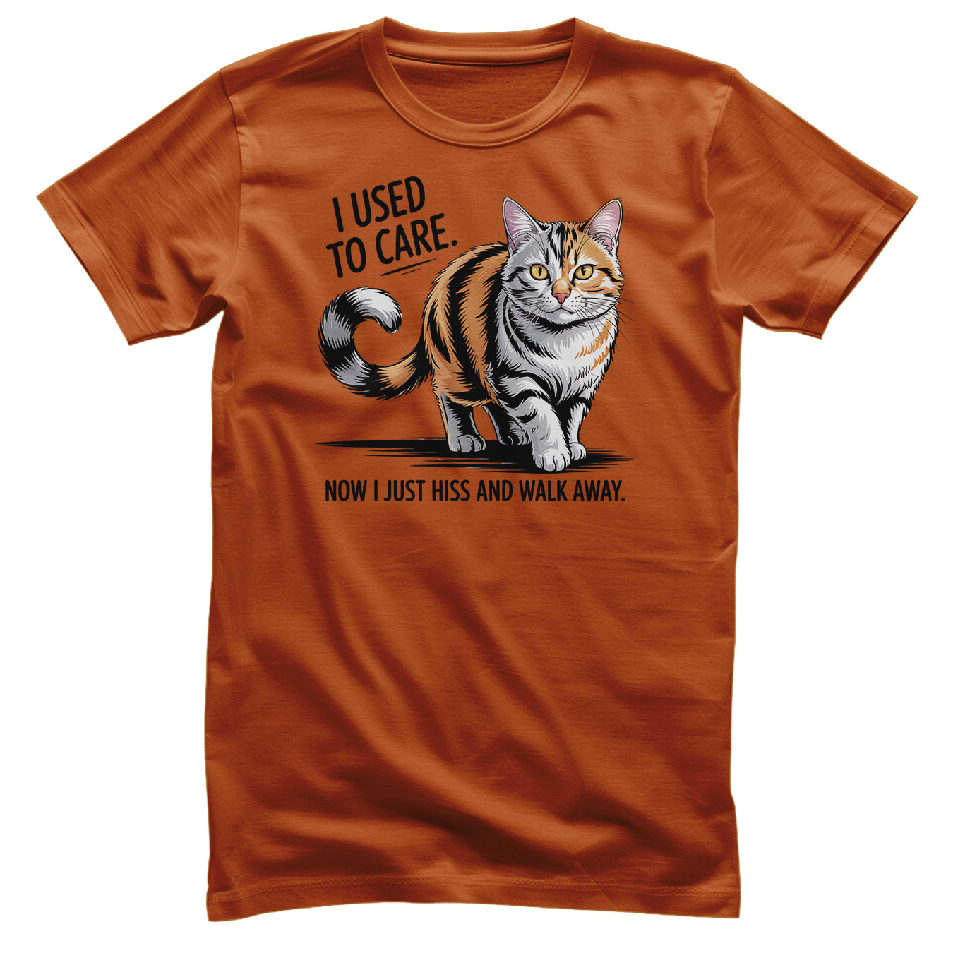 I Used To Care Tee